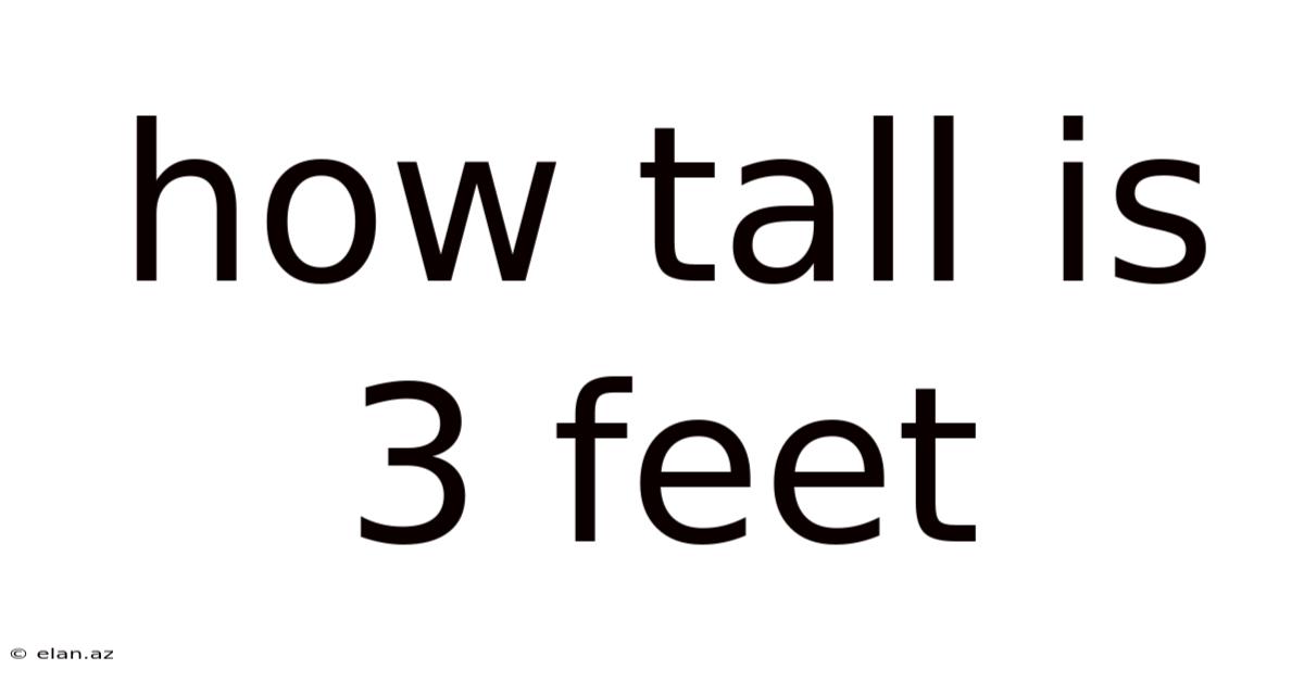 How Tall Is 3 Feet