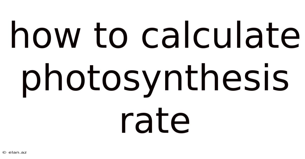 How To Calculate Photosynthesis Rate