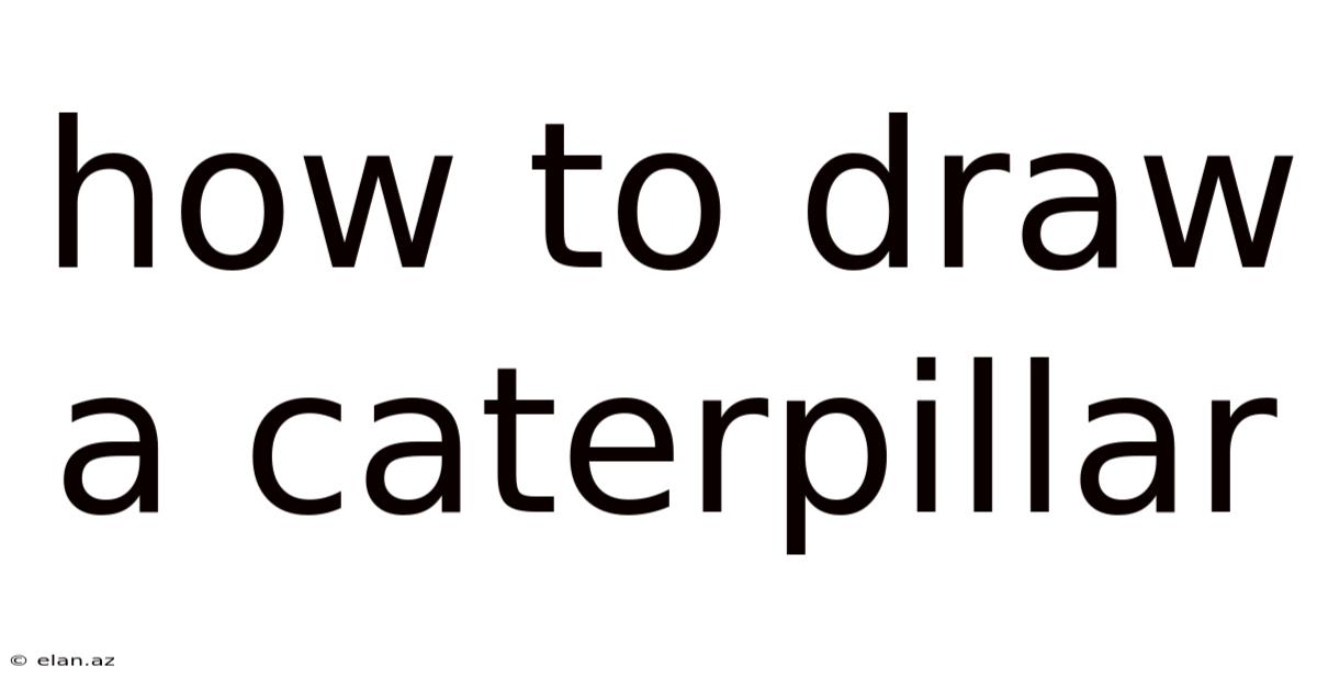 How To Draw A Caterpillar