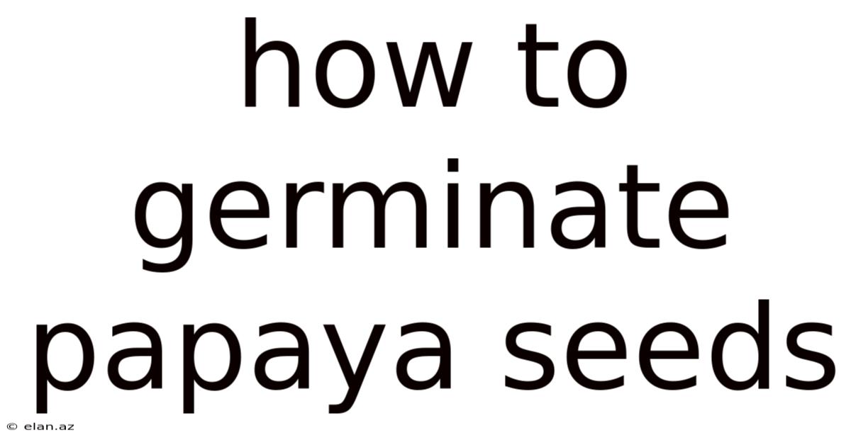 How To Germinate Papaya Seeds