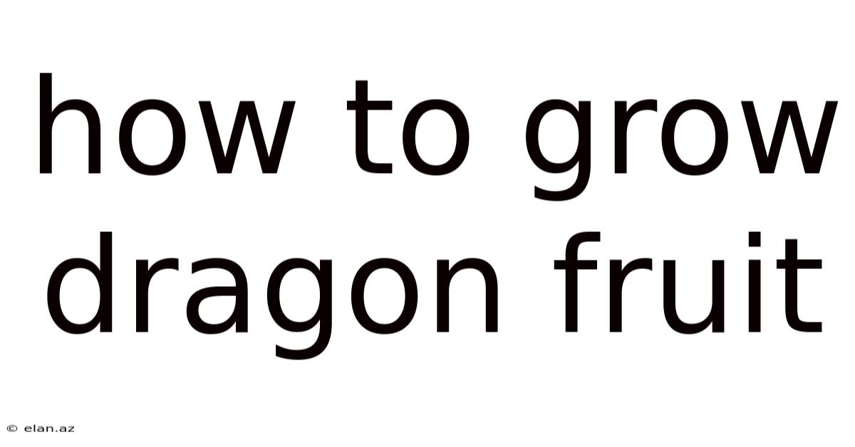 How To Grow Dragon Fruit