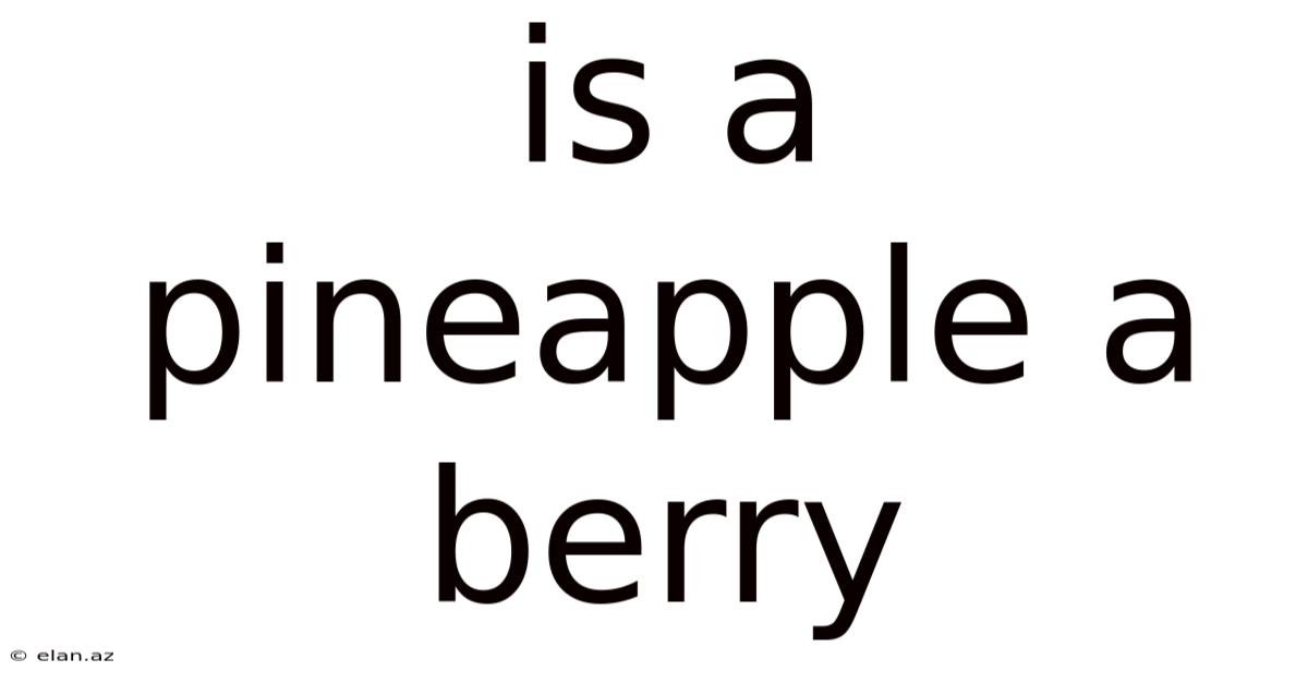 Is A Pineapple A Berry