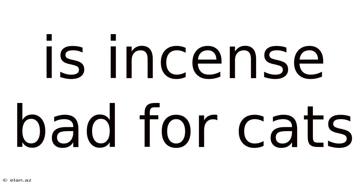 Is Incense Bad For Cats
