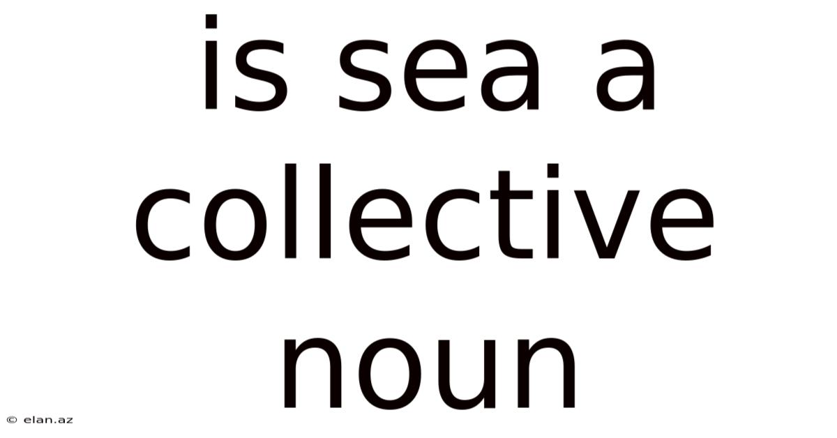 Is Sea A Collective Noun