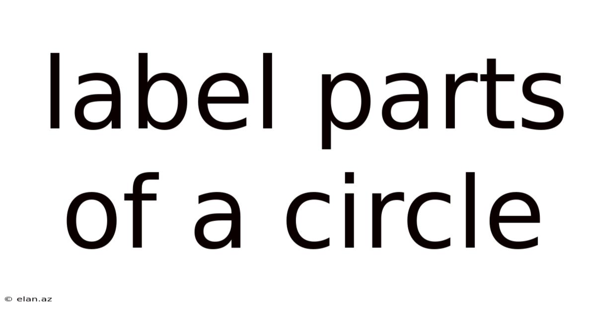 Label Parts Of A Circle