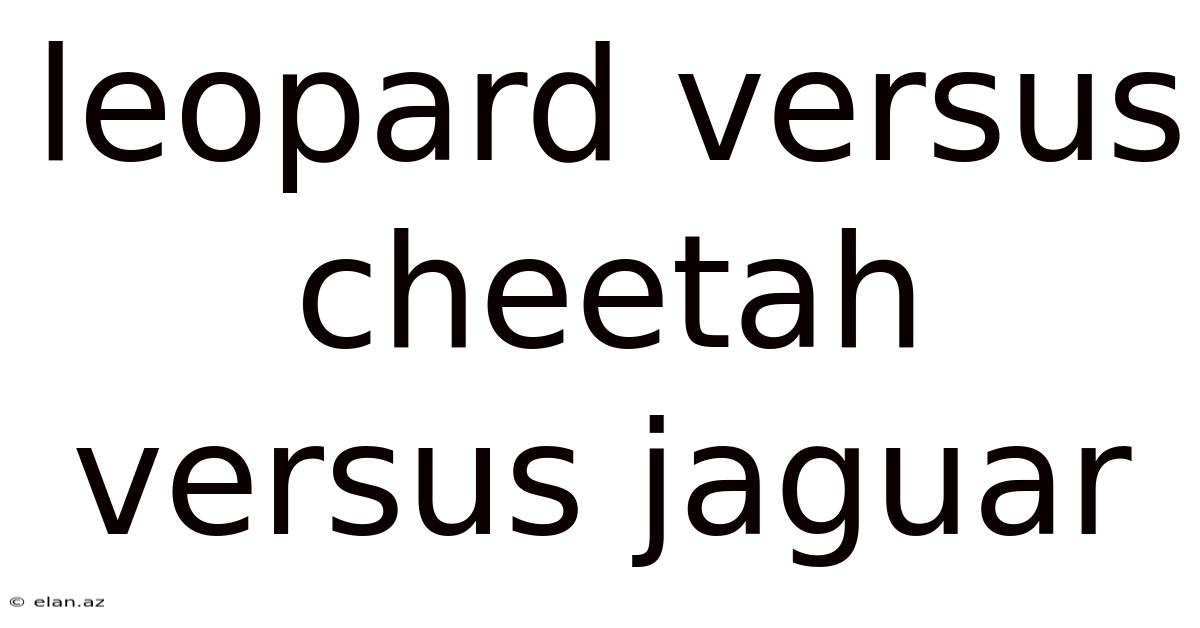 Leopard Versus Cheetah Versus Jaguar