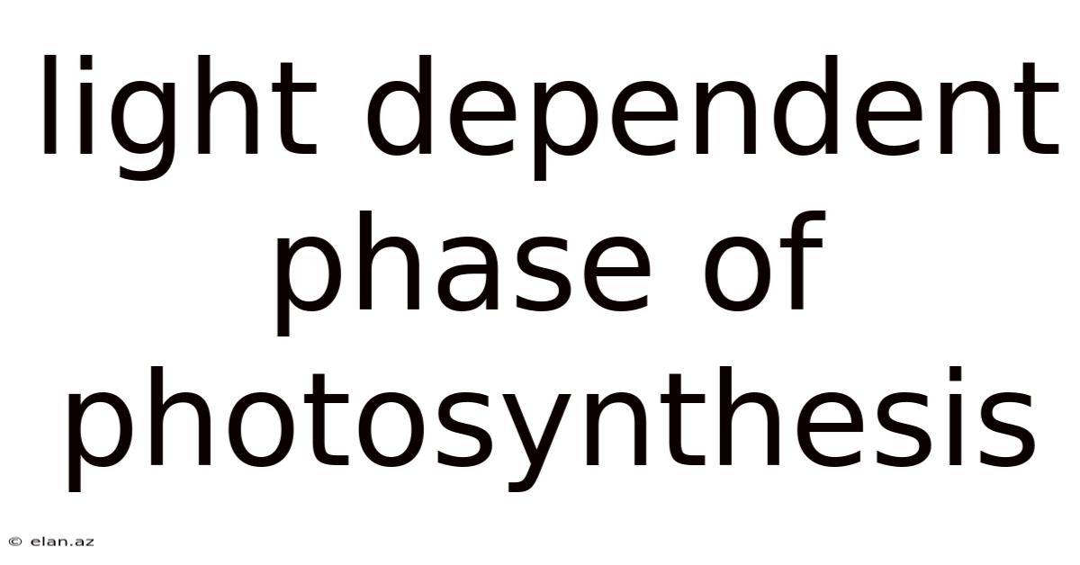 Light Dependent Phase Of Photosynthesis