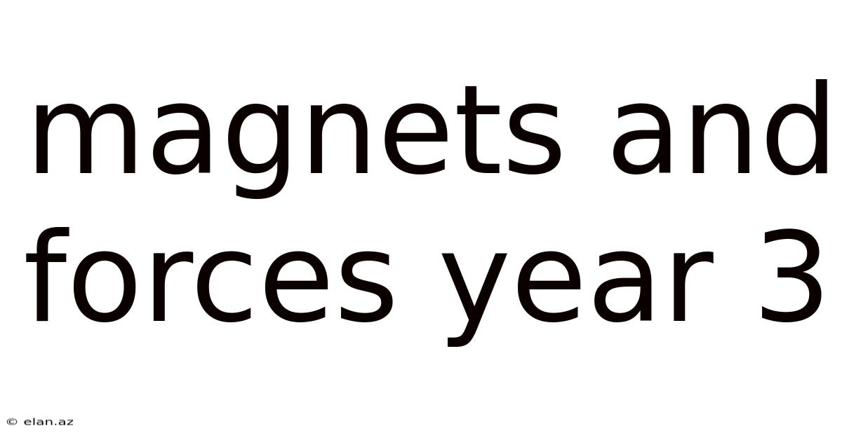 Magnets And Forces Year 3