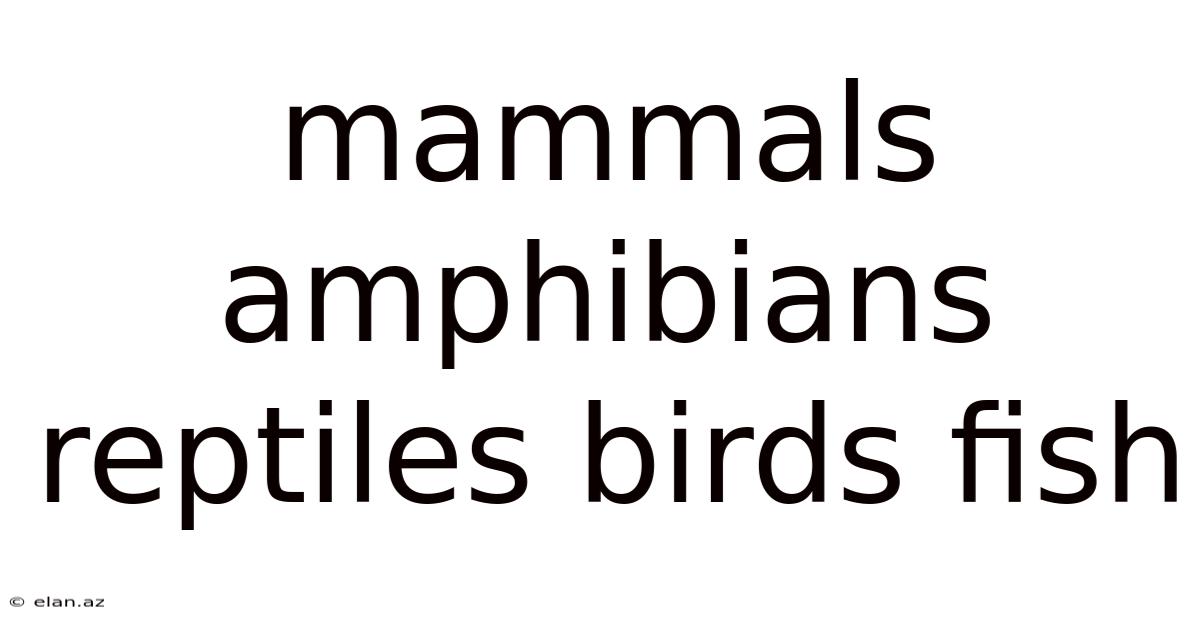 Mammals Amphibians Reptiles Birds Fish