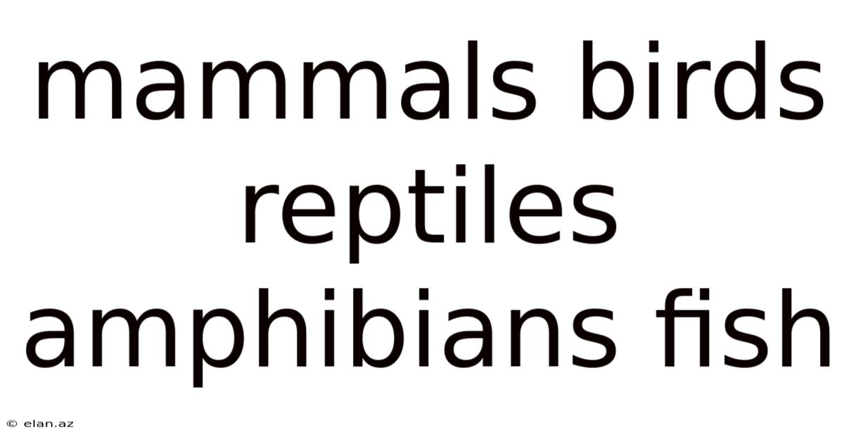Mammals Birds Reptiles Amphibians Fish