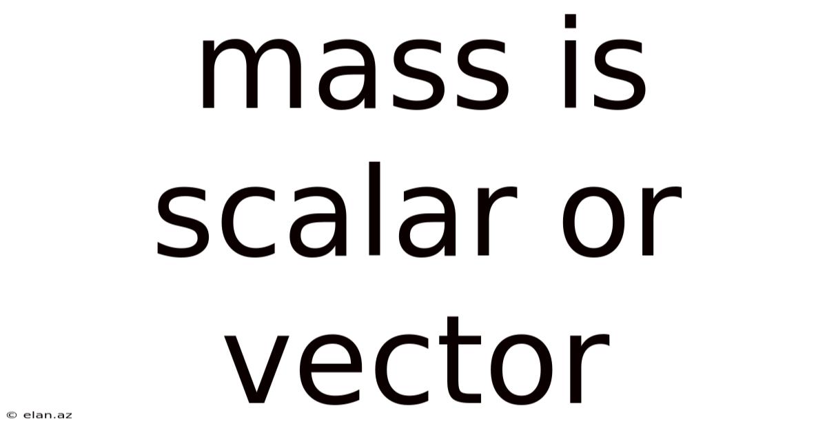 Mass Is Scalar Or Vector