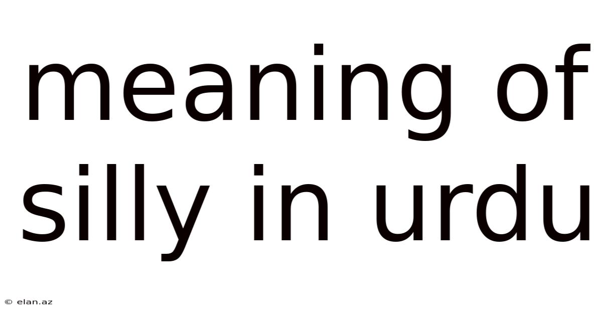 Meaning Of Silly In Urdu