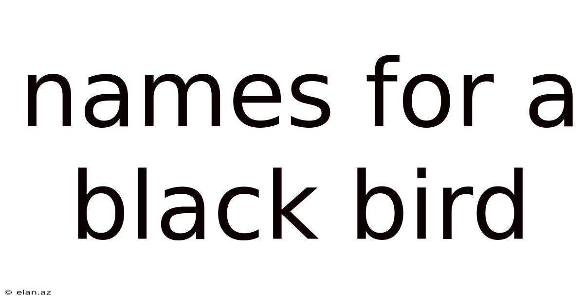 Names For A Black Bird