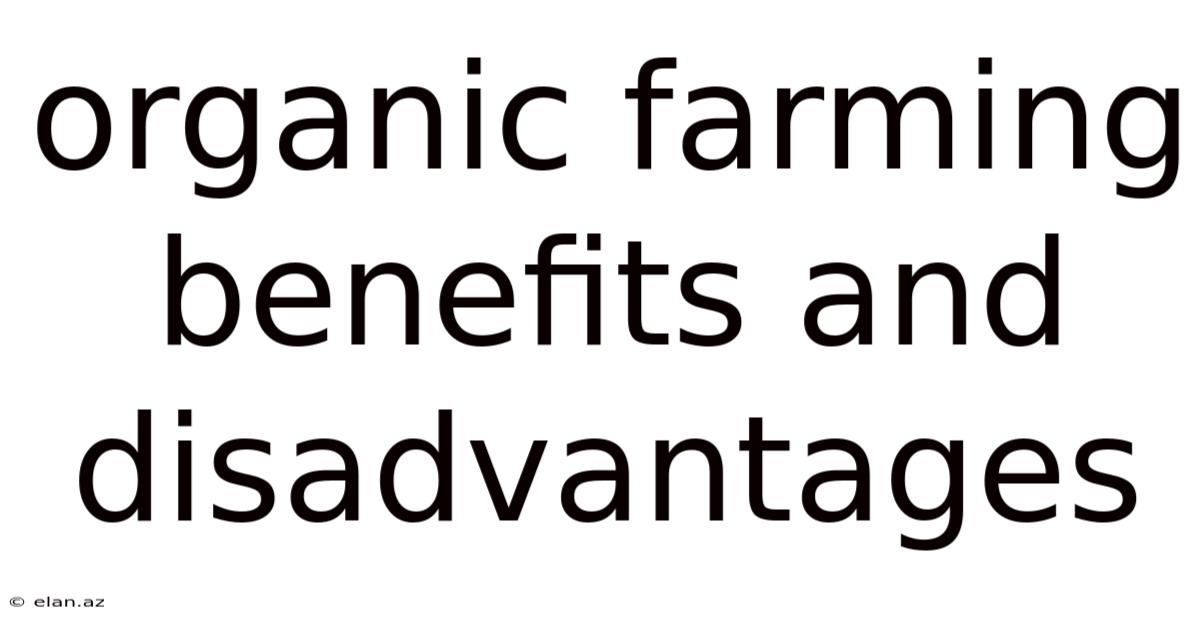 Organic Farming Benefits And Disadvantages