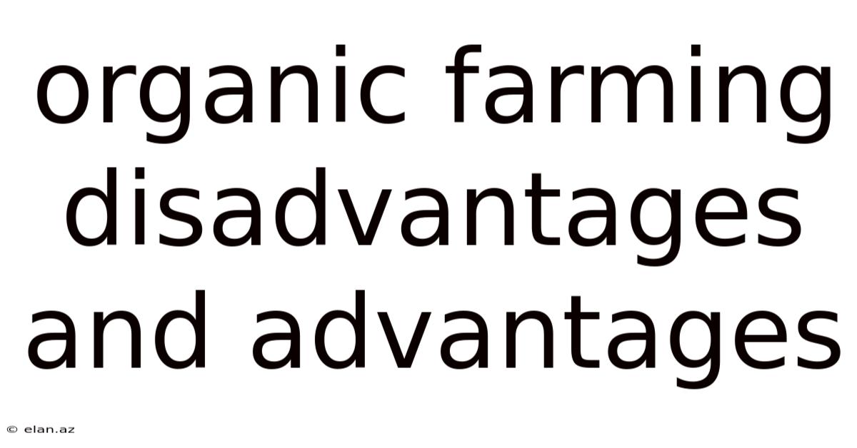 Organic Farming Disadvantages And Advantages