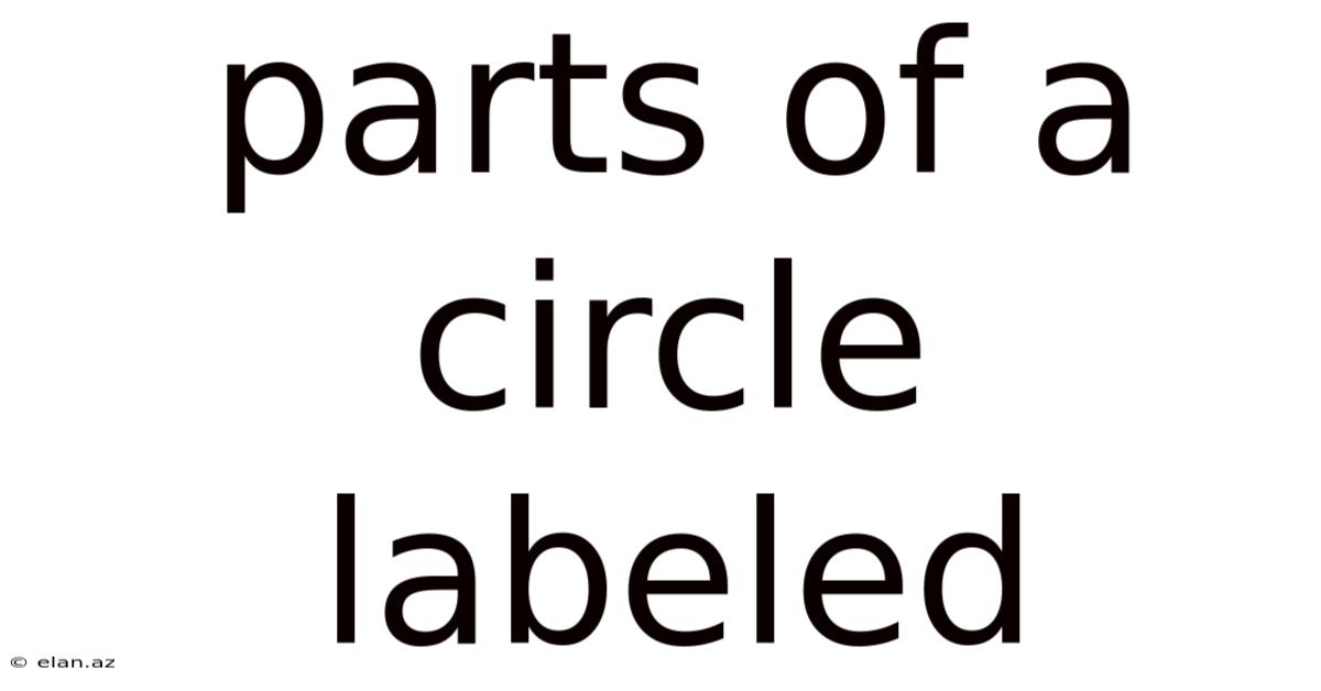 Parts Of A Circle Labeled