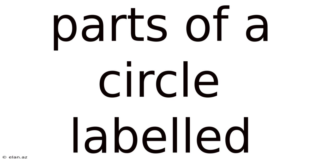 Parts Of A Circle Labelled