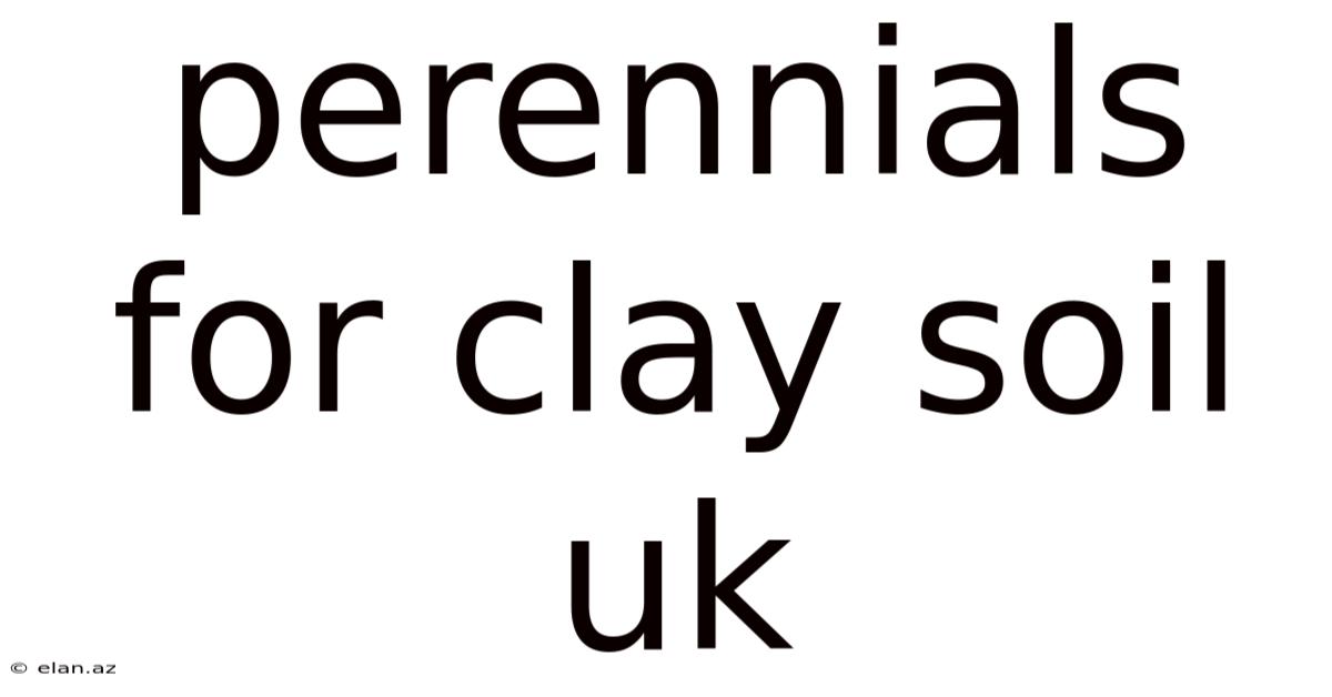 Perennials For Clay Soil Uk