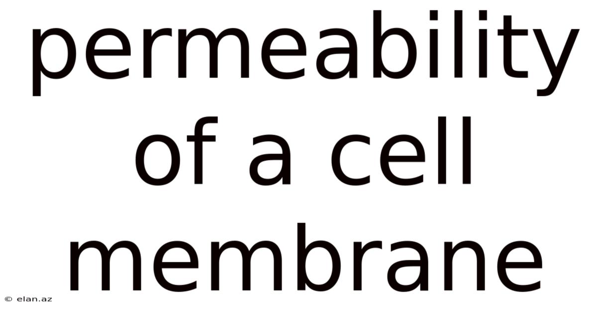 Permeability Of A Cell Membrane