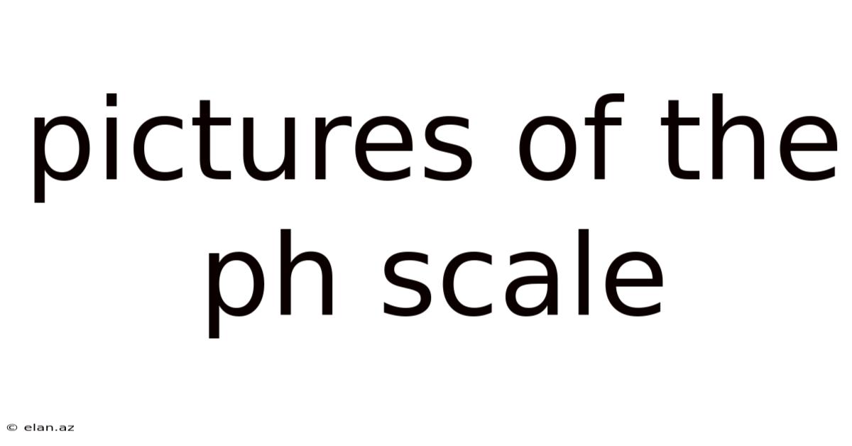 Pictures Of The Ph Scale