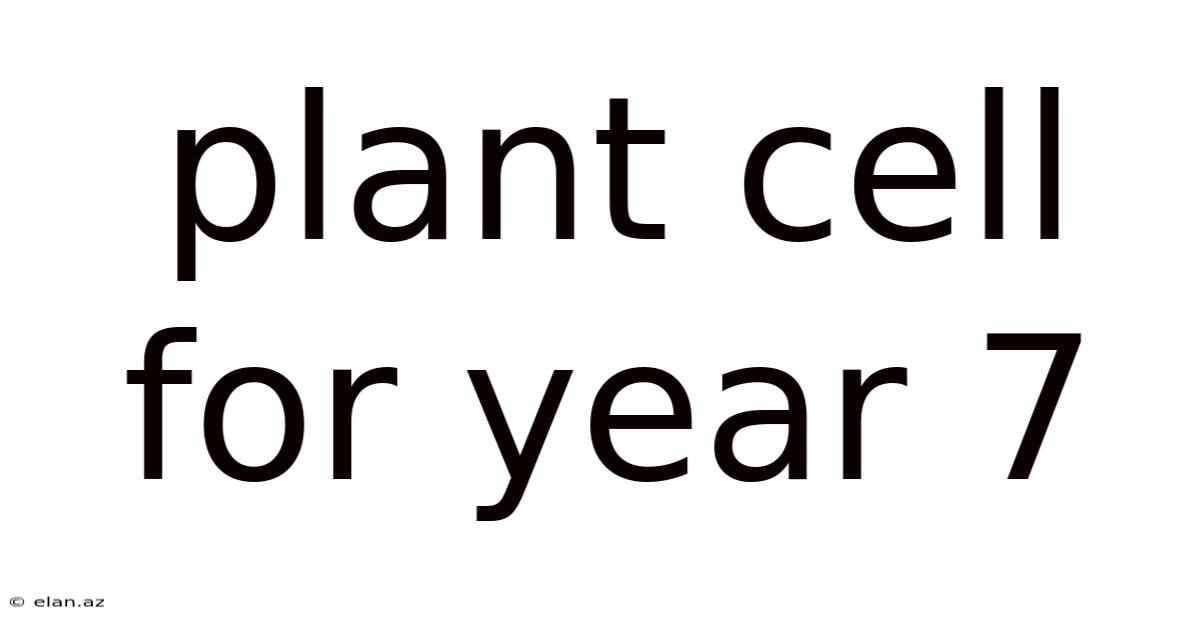 Plant Cell For Year 7
