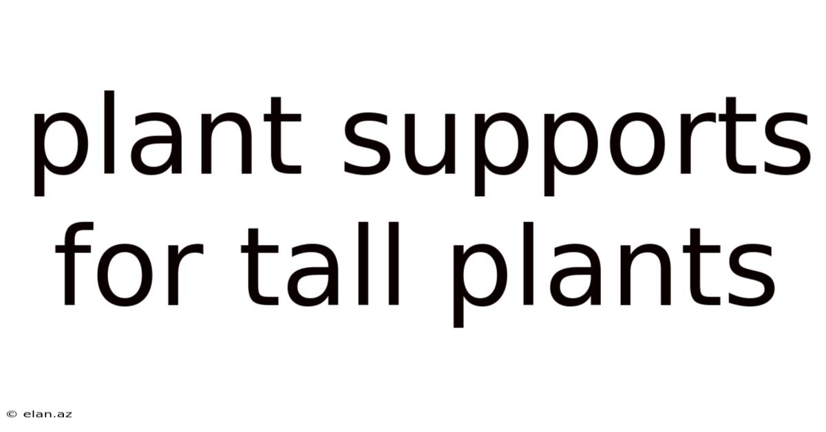 Plant Supports For Tall Plants