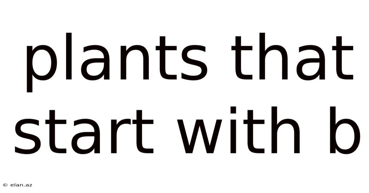 Plants That Start With B