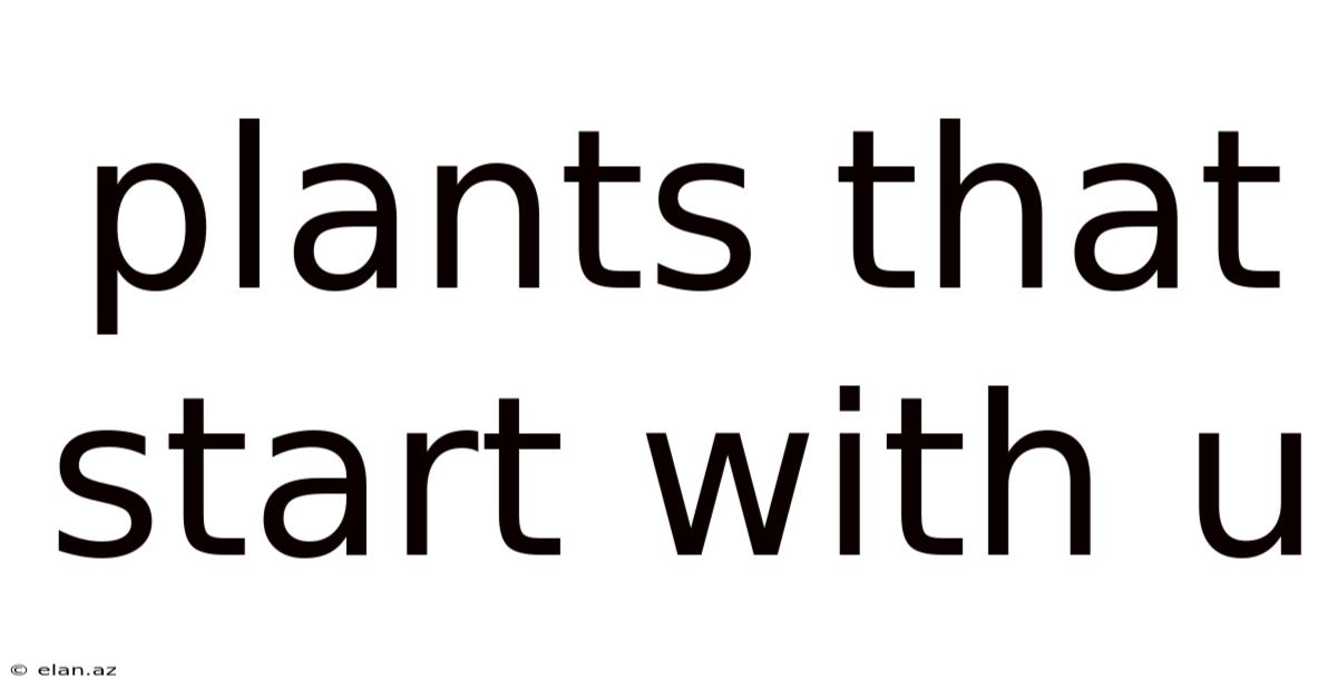 Plants That Start With U