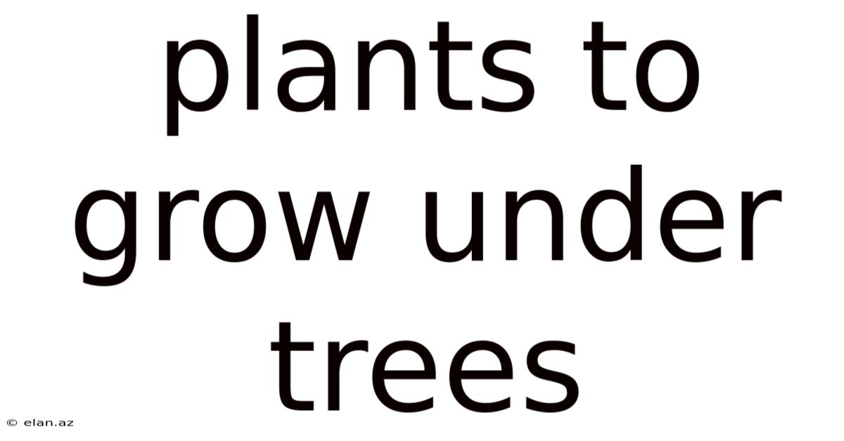 Plants To Grow Under Trees