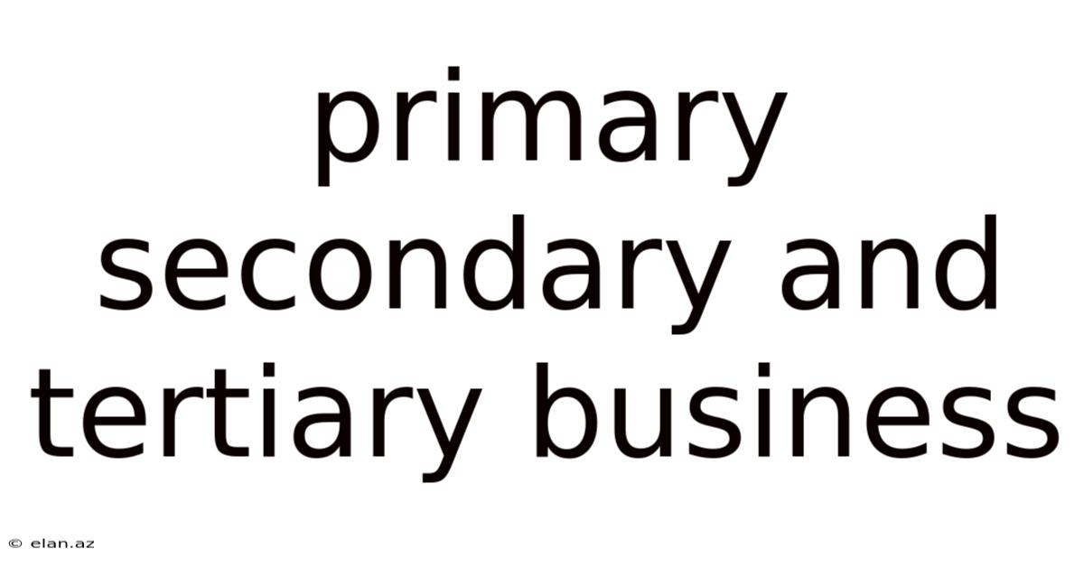 Primary Secondary And Tertiary Business