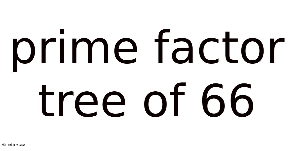 Prime Factor Tree Of 66