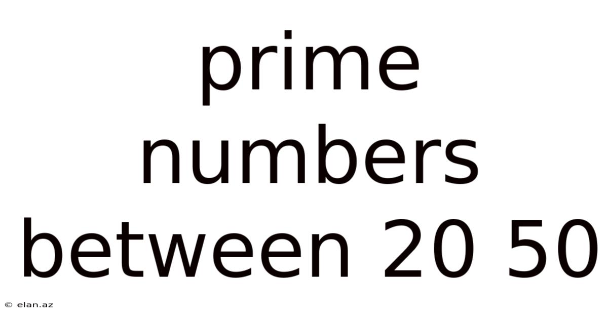Prime Numbers Between 20 50