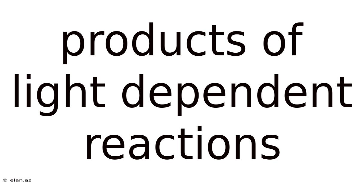 Products Of Light Dependent Reactions