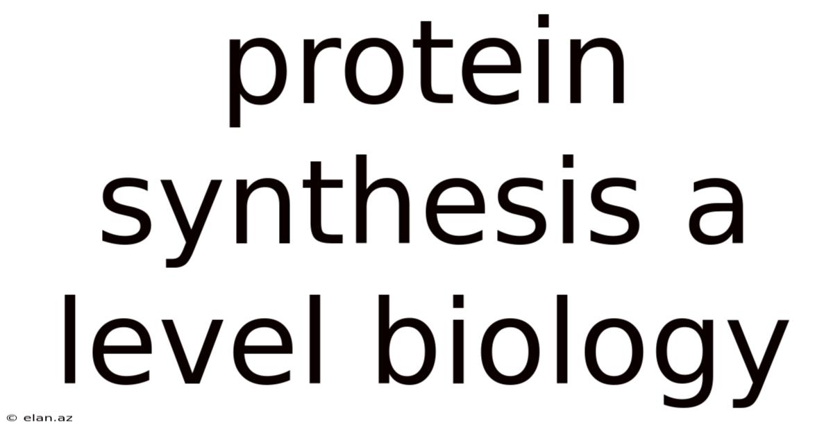 Protein Synthesis A Level Biology