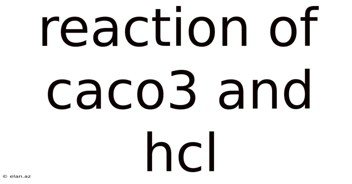 Reaction Of Caco3 And Hcl
