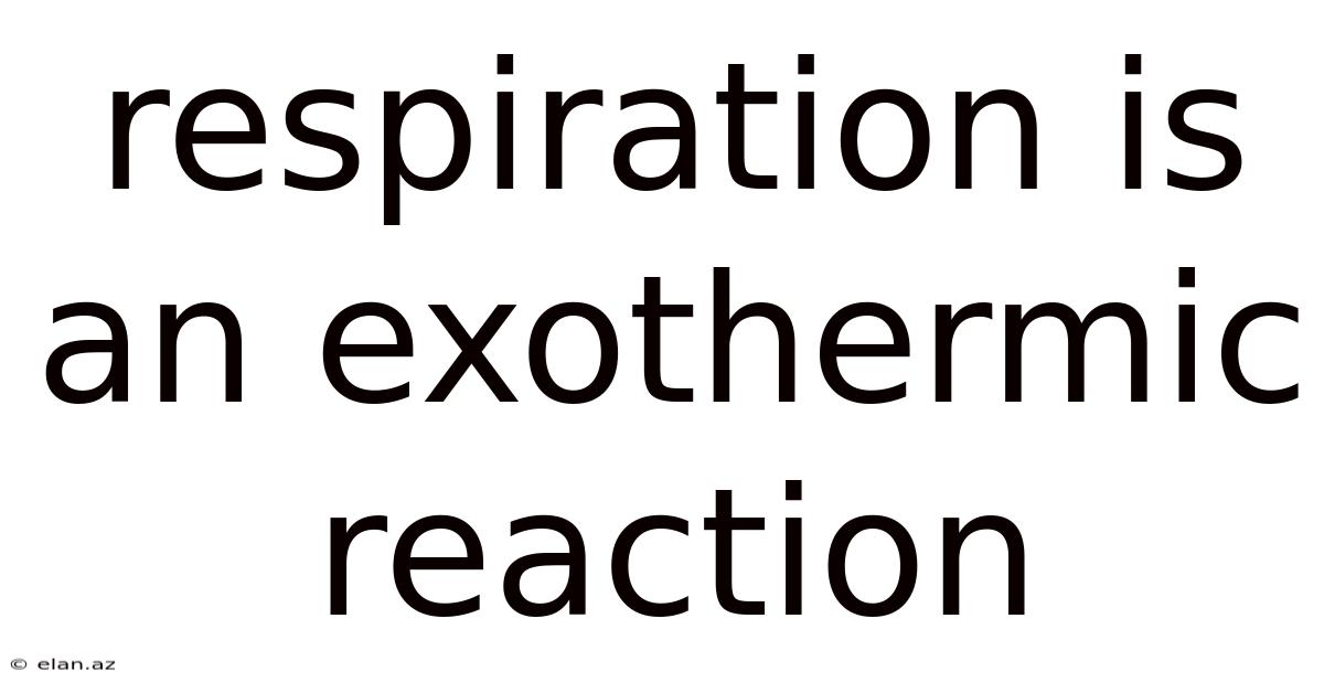 Respiration Is An Exothermic Reaction