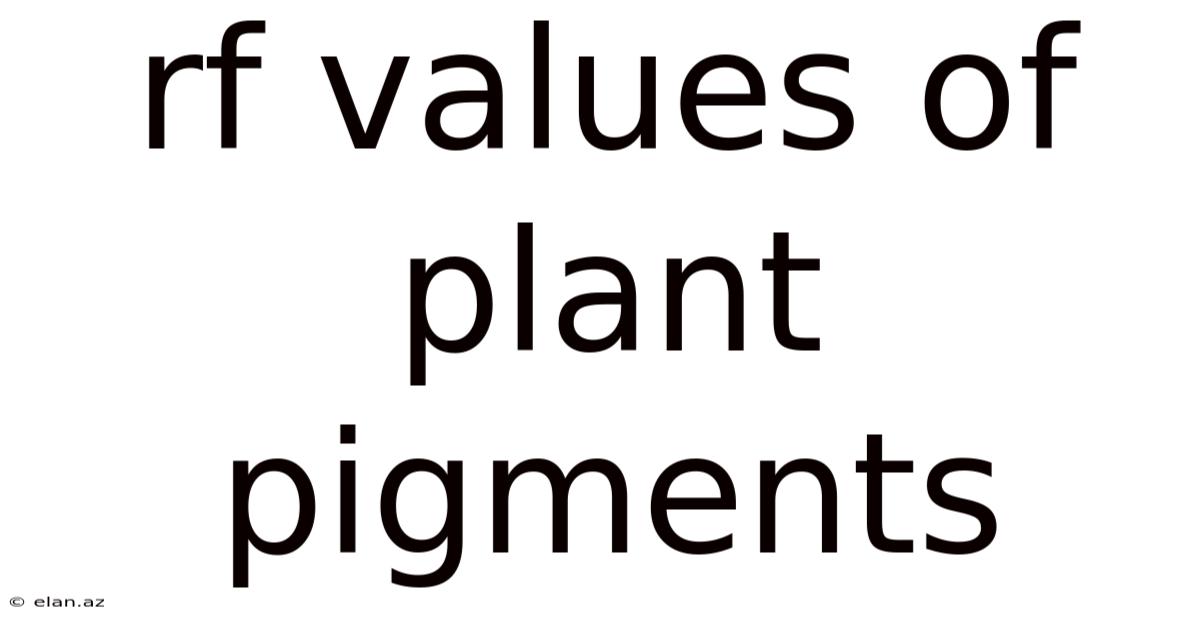 Rf Values Of Plant Pigments