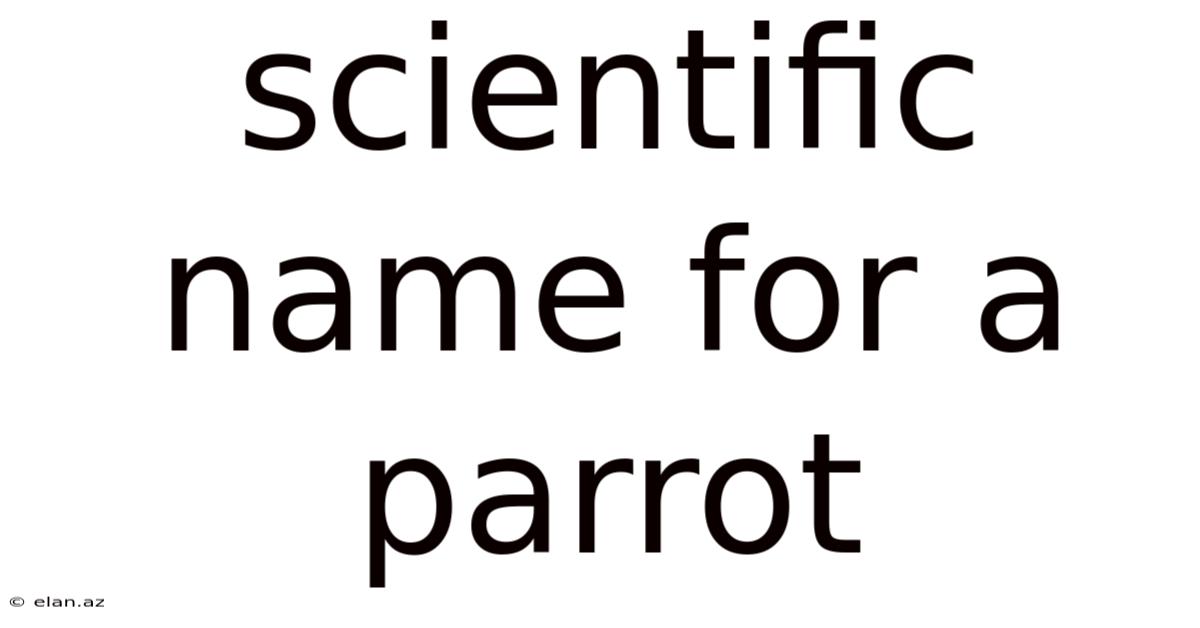 Scientific Name For A Parrot