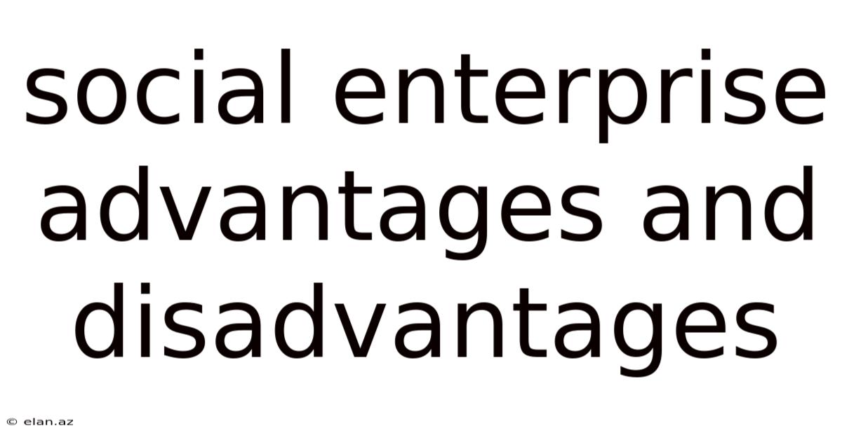 Social Enterprise Advantages And Disadvantages