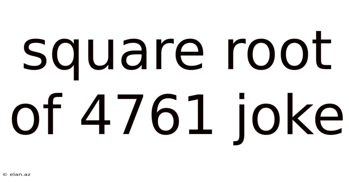 Square Root Of 4761 Joke