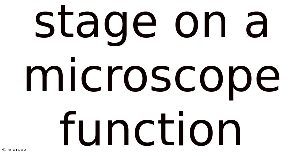 Stage On A Microscope Function