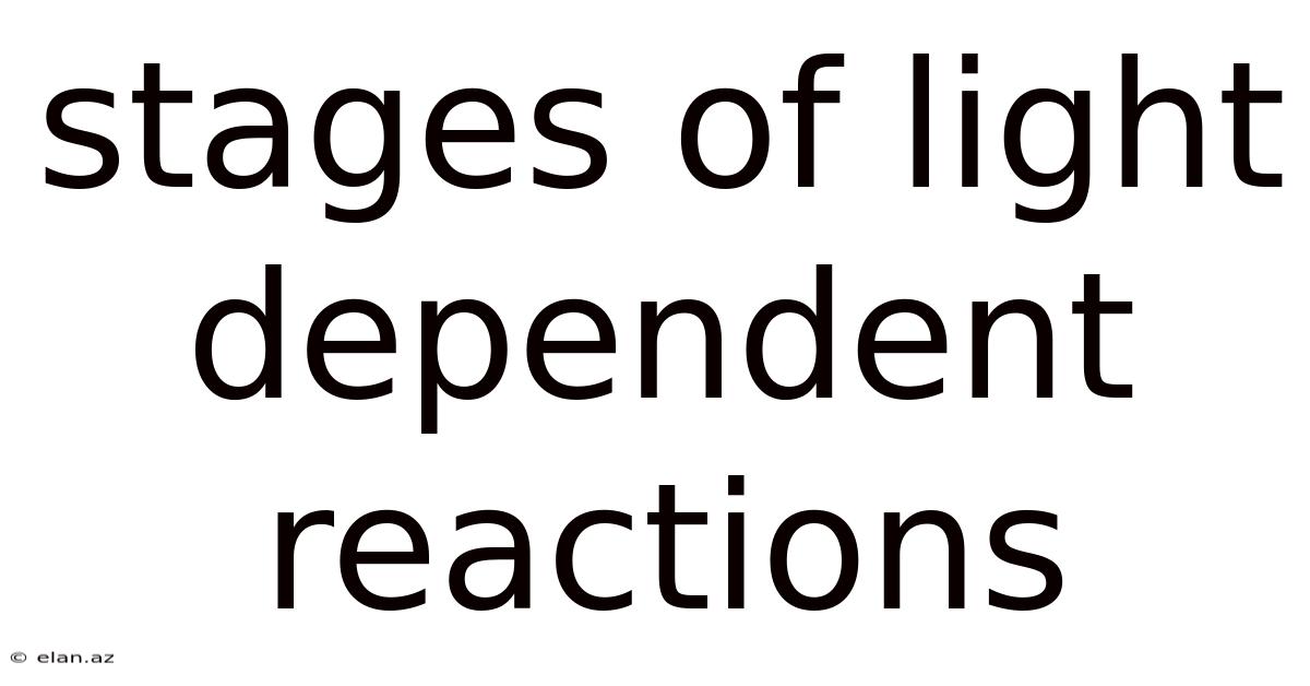 Stages Of Light Dependent Reactions