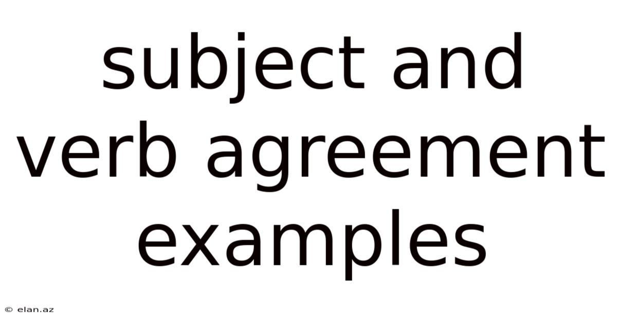 Subject And Verb Agreement Examples