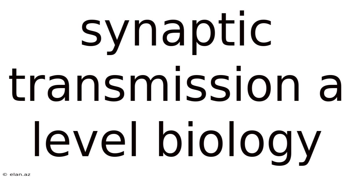 Synaptic Transmission A Level Biology