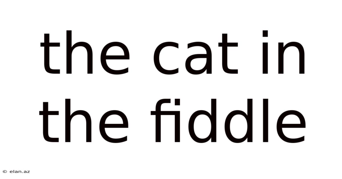 The Cat In The Fiddle