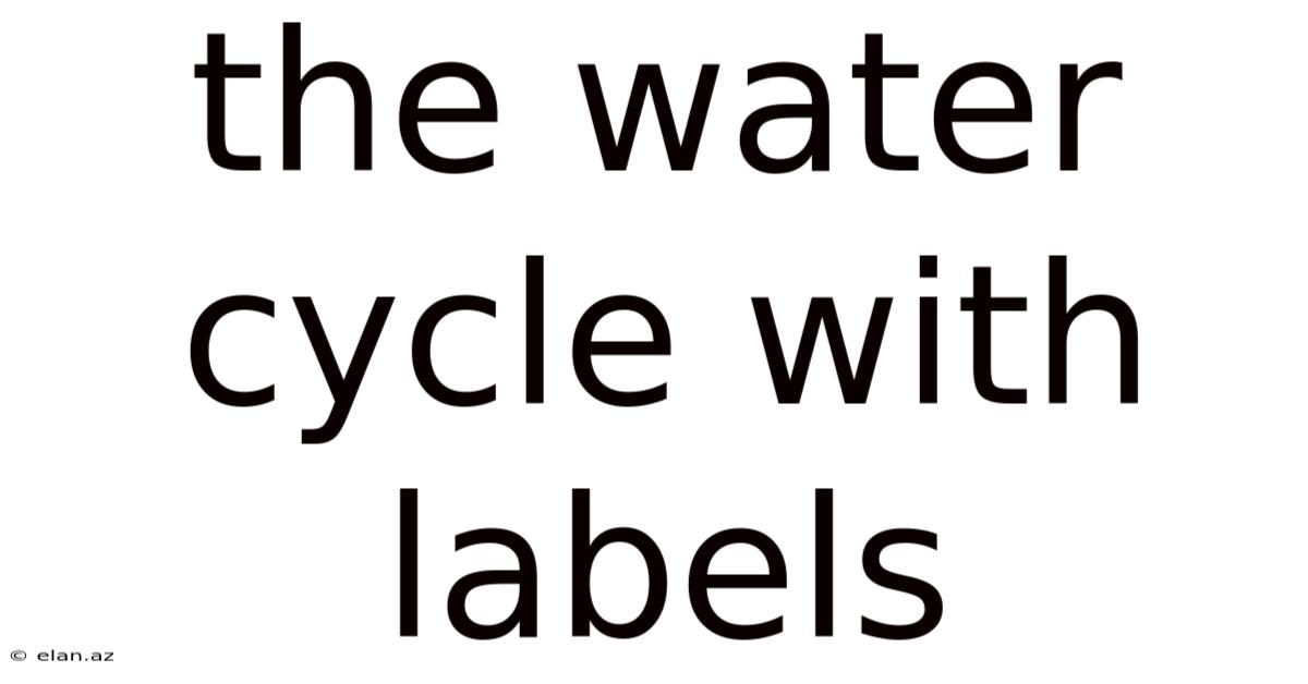 The Water Cycle With Labels
