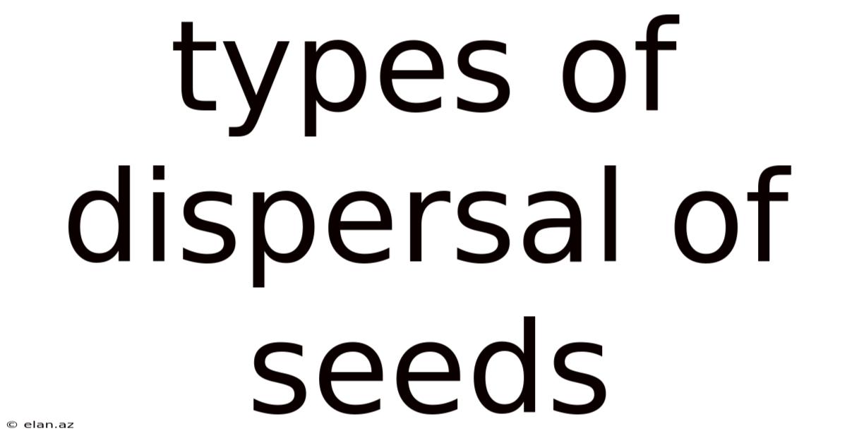 Types Of Dispersal Of Seeds