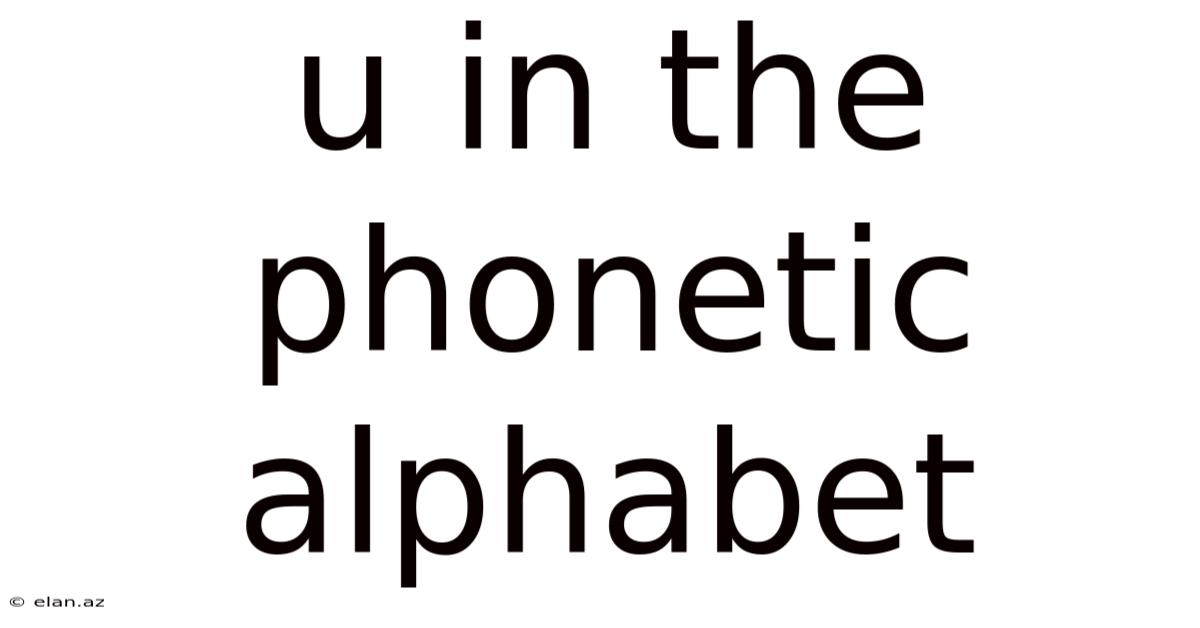 U In The Phonetic Alphabet