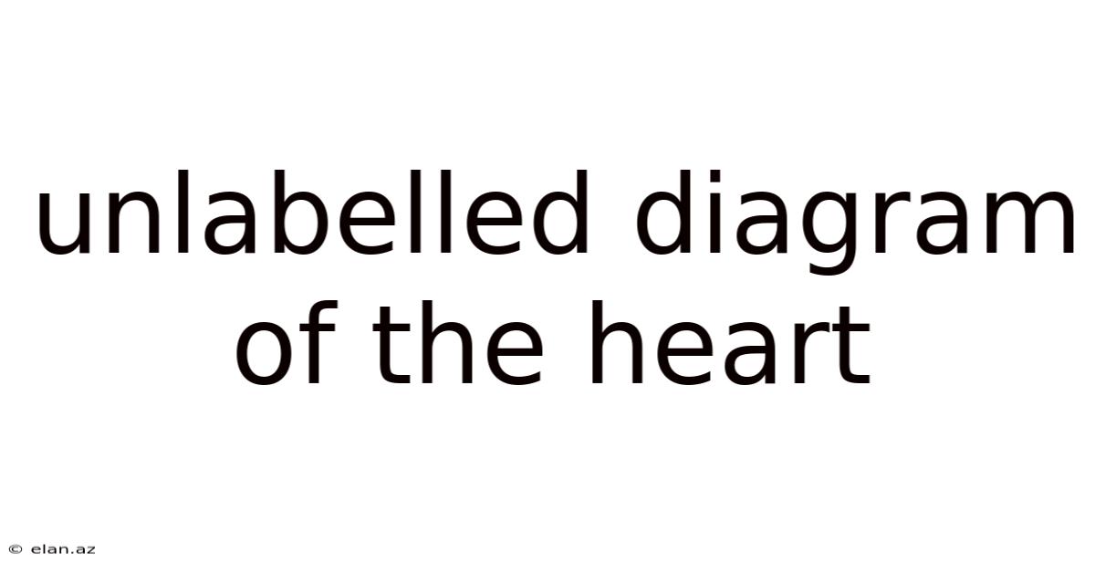 Unlabelled Diagram Of The Heart