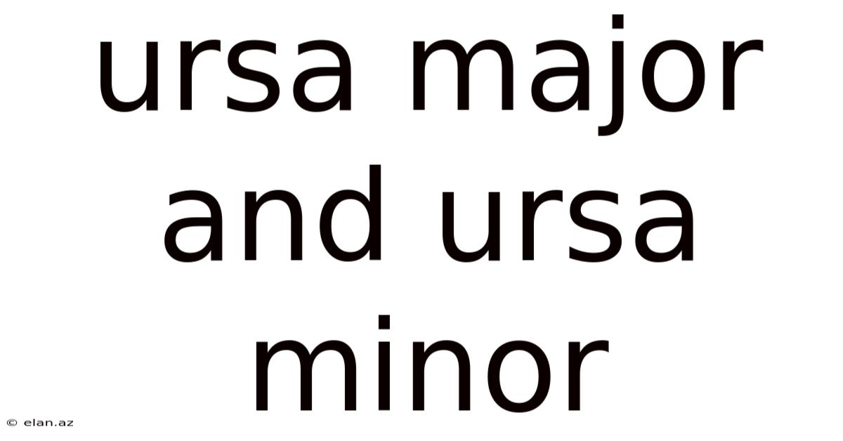 Ursa Major And Ursa Minor